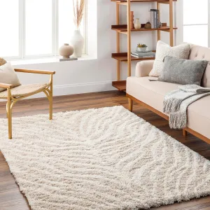 Boomer 5x7 Shag Gray Area Rug Carpet for Living Room Bedroom or Kitchen (5'3" x 7'3")