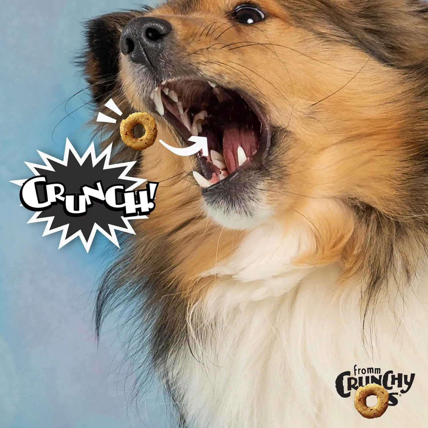 Fromm - Crunchy O's Dog Treats - Bacon Blasters