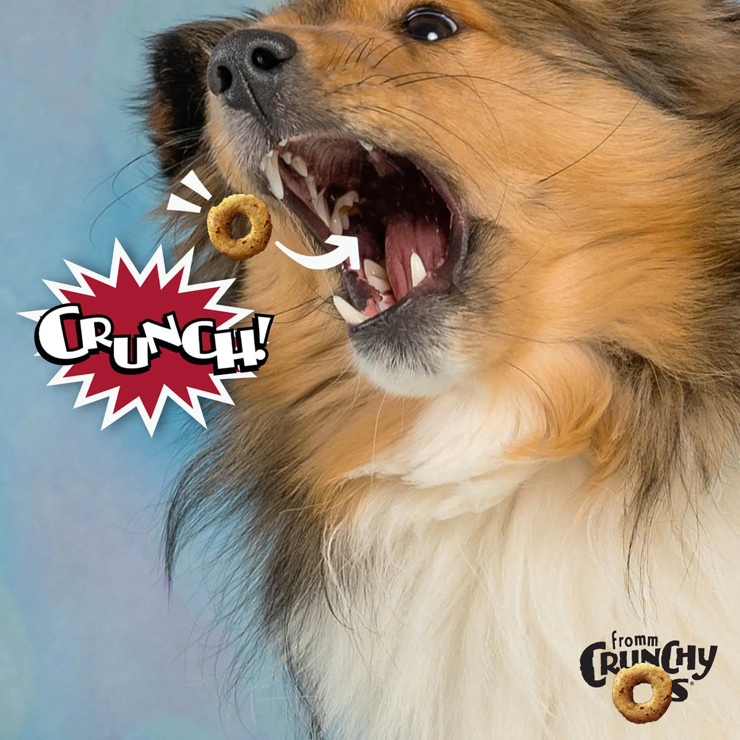 Fromm - Crunchy O's Dog Treats - Pot Roast Punchers