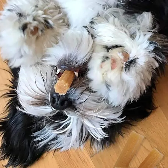 Himalayan Dog Chew - Bacon Churro Stix