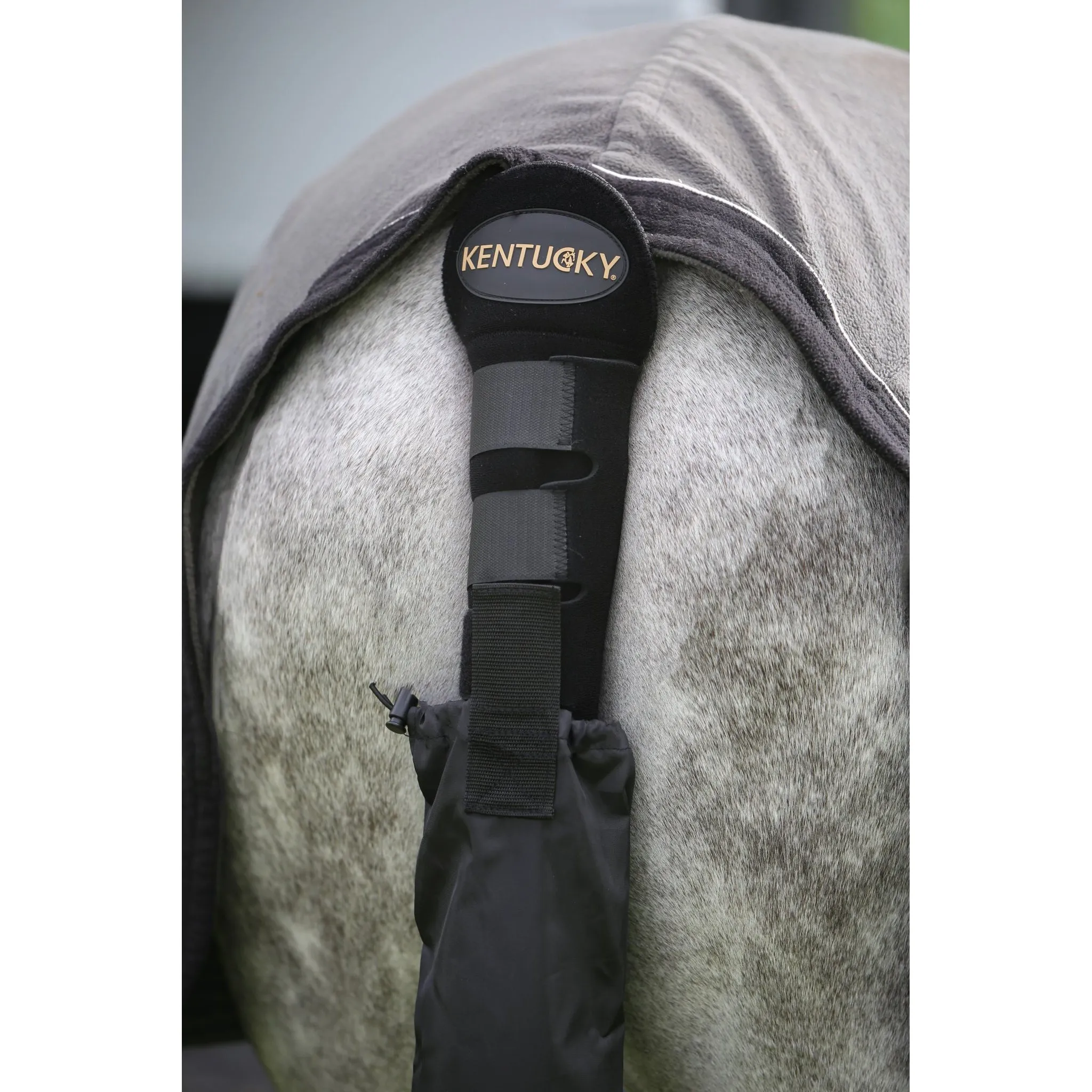 Kentucky Tail Guard