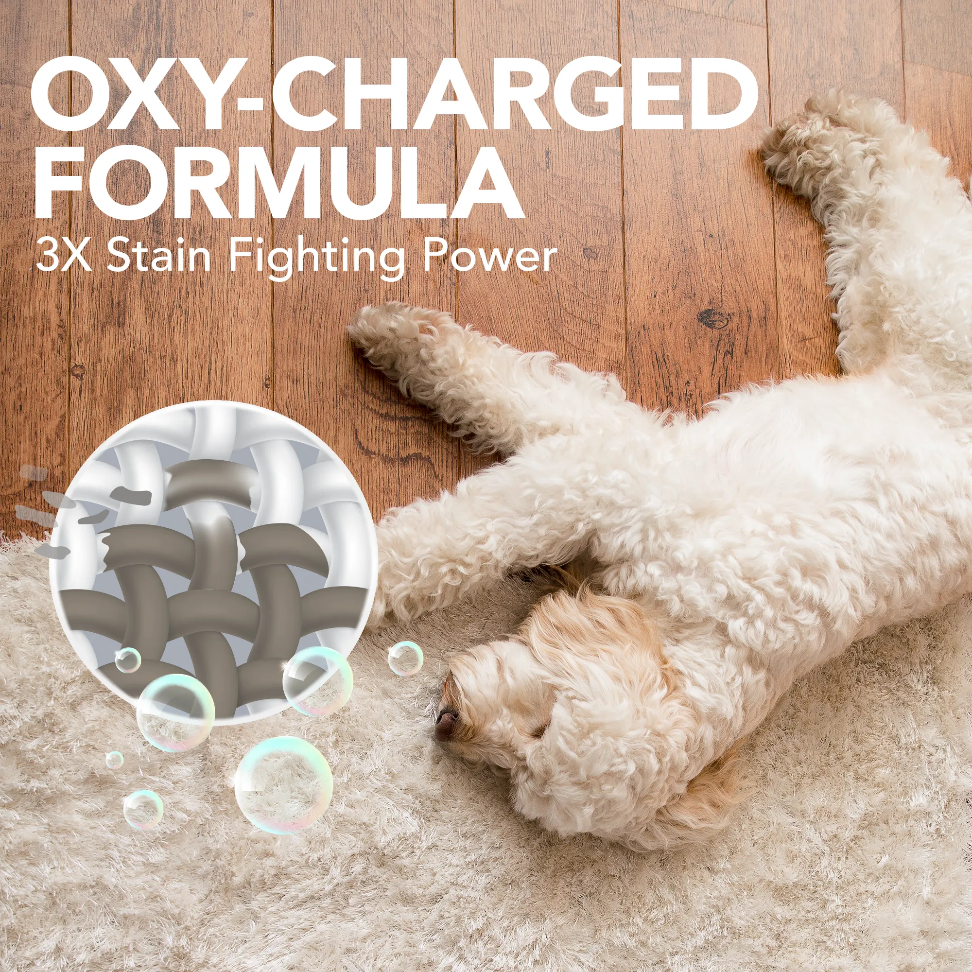 Simple Solution Oxy Charged Stain and Odor Remover 32oz