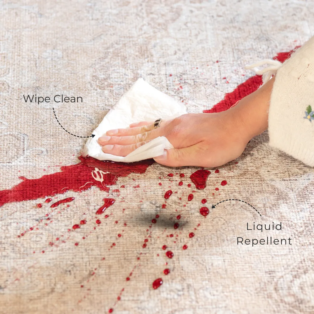 Washable Light Green Bordered Area Rug - Rumi
